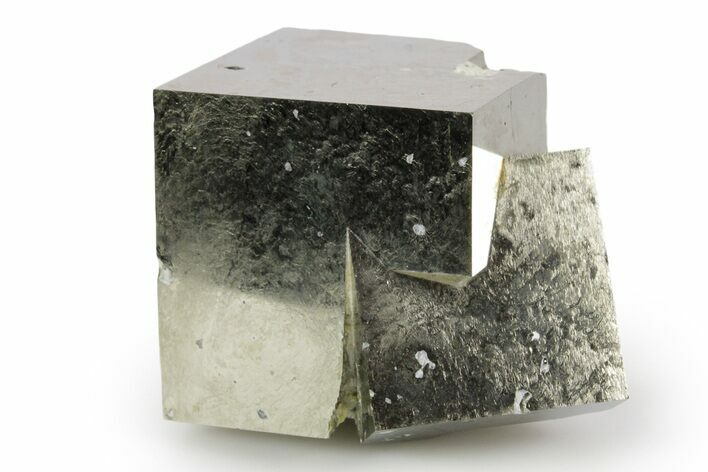 Shiny, Natural Pyrite Cube Cluster - Navajun, Spain #347290